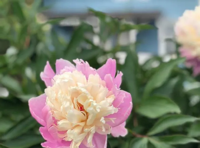 Charming Lakeside House With Sauna Nyaraló *